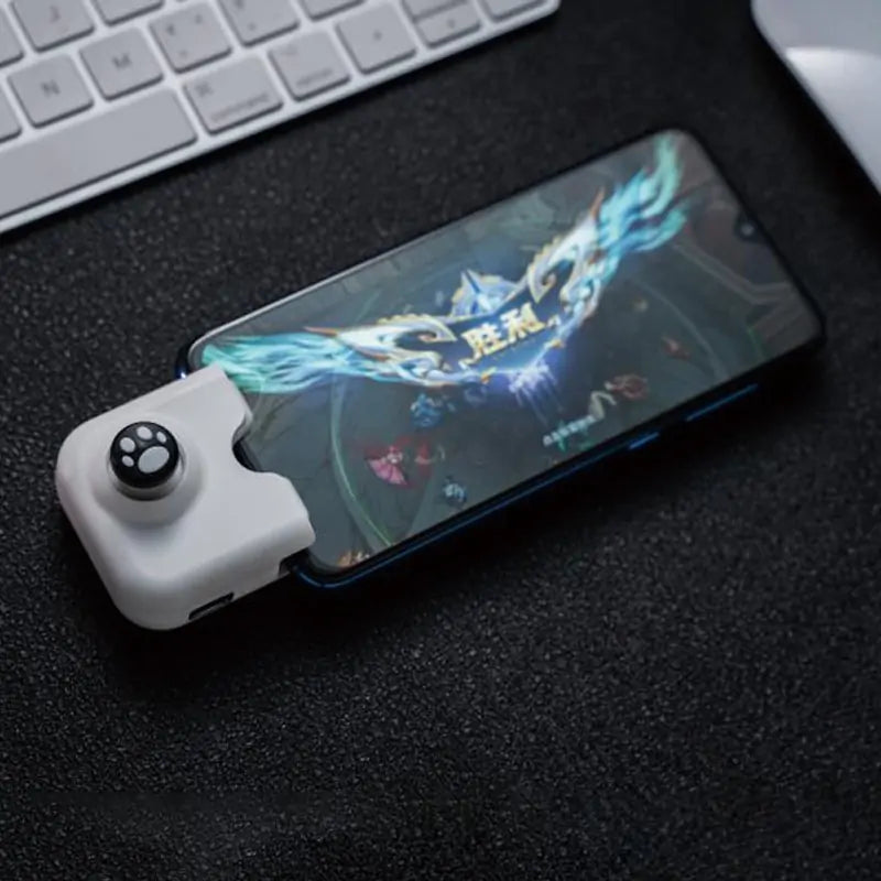 Smartphone Controller